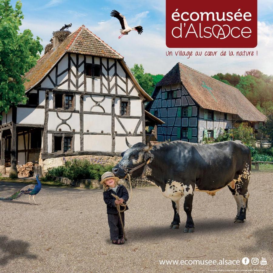 Le Panorama Du Murat Mulhouse Riedisheim 68 Haut-Rhin Alsace Saint-Louis 외부 사진