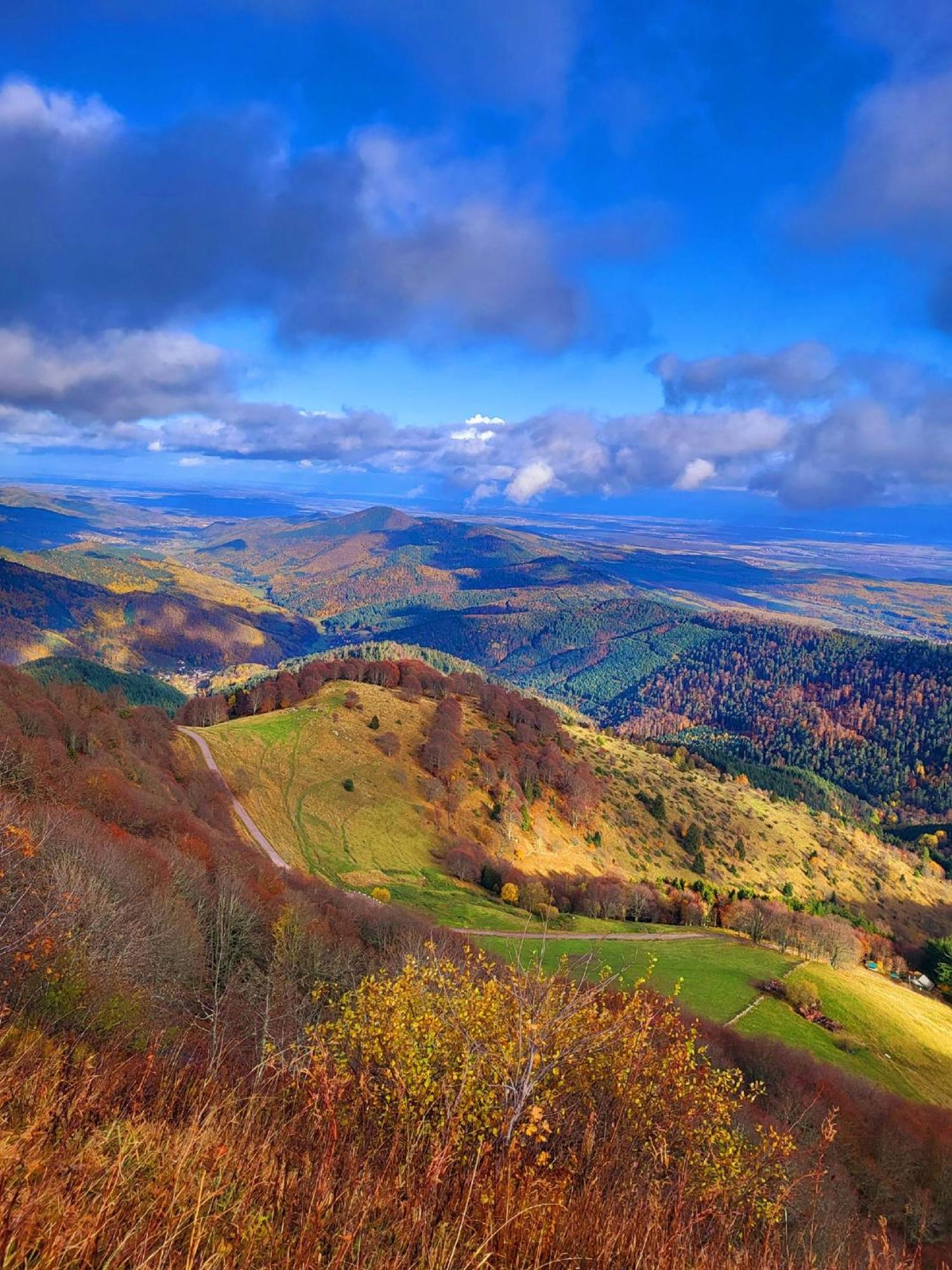 Le Panorama Du Murat Mulhouse Riedisheim 68 Haut-Rhin Alsace Saint-Louis 외부 사진