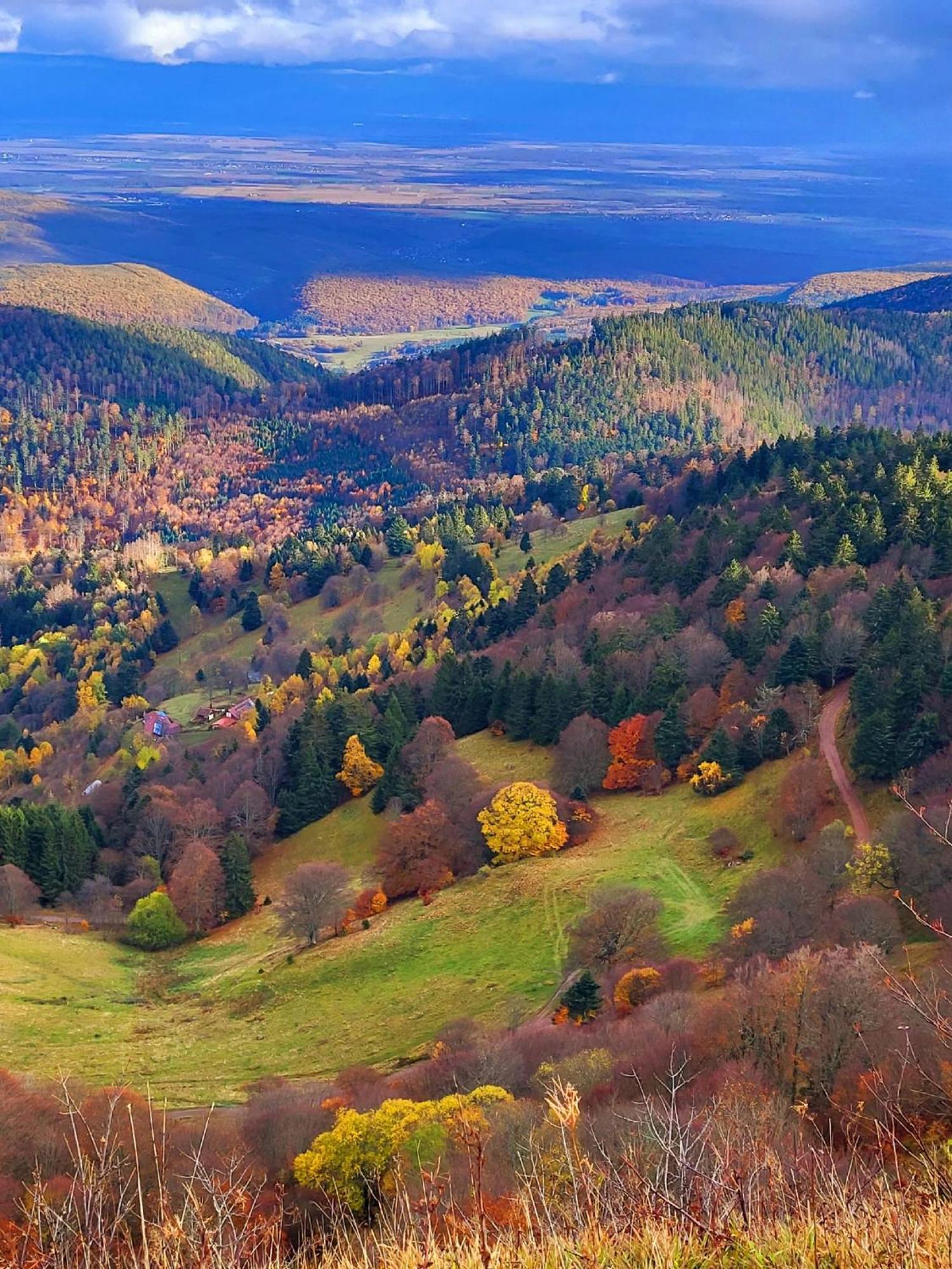 Le Panorama Du Murat Mulhouse Riedisheim 68 Haut-Rhin Alsace Saint-Louis 외부 사진